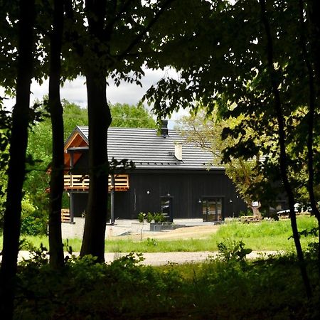 Bed and Breakfast Witoszyn28 Казімеж-Дольний Екстер'єр фото